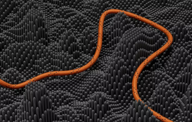 Breaking Borders with Digital Payments